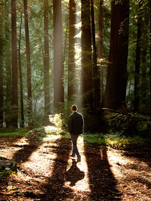 Glen Oaks Big Sur