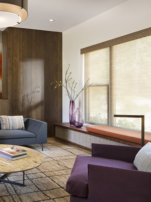 Marin living room